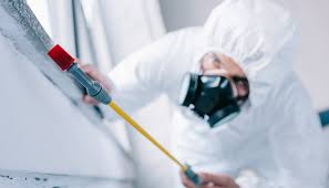 Best Pest Control for Multi-Family Homes  in Prosperity, SC